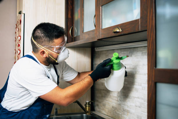 Best Mosquito Control Services  in Flora, MS