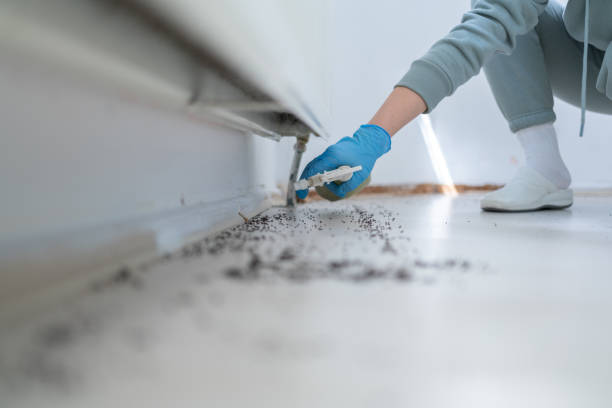 Best Best Pest Control Companies  in Flora, MS